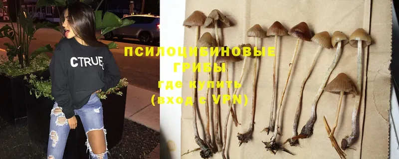 Галлюциногенные грибы Magic Shrooms  Новохопёрск 